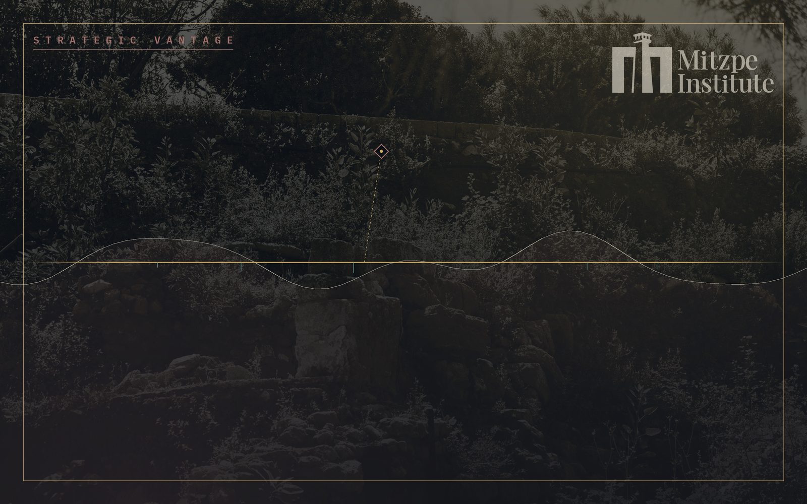 Mitzpe Institute — Strategic Vantage
